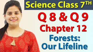 Q 8 & Q 9 - Chapter 12 - Forests: Our Lifeline - Science Class 7th NCERT