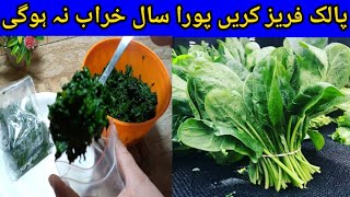 preserving spinach | spinach preservation | pora sal palak freeze karna ka tariqa | food bank 193