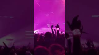 kygo live best moments