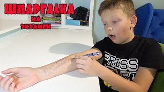 Арсений сделал ШПАРГАЛКИ для ЭКЗАМЕНА. ЧТО-ТО ПОШЛО НЕТАК.