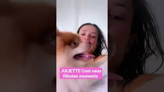 JULIETTE com seus filhotes .beautiful monent cute #short #shorts #youtubeshorts #shortsvideo #dogs