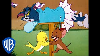 Tom & Jerry in italiano | U-u-u-uccellino! | WB Kids