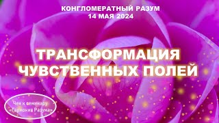 Софоос. чен.14.05.2024 г. Конгломератный Разум. Трансформация чувственных полей