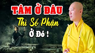 Tâm Ở Đâu Thì Vận Mệnh Ở Đó - Pháp Thoại Thầy Thích Thiện Thuận