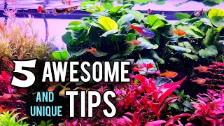 How To Make Any Aquarium Plant Look Healthy And Beautiful