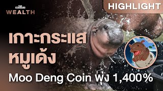 จาก ‘หมูเด้ง’ สู่ Moo Deng Coin ราคาพุ่ง 1,400% เหรียญที่เป็นเพียงกระแส? | THE STANDARD WEALTH