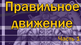 Что такое правильные упражнения? Часть 1/3  [S02E10]