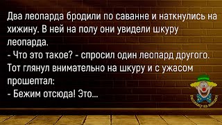 🤡Фермер Купил Себе Петуха...Сборник Новых Смешных Анекдотов Про Животных,Для Супер Настроения!