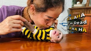 Extremely cute moment of baby monkey Tina when she is with her mother