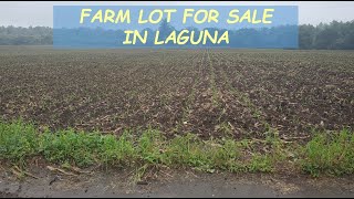 #103 AVAILABLE - FARM LOT for Sale in Laguna Philippines