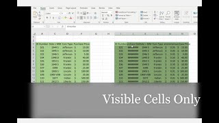 How to Copy and Paste Visible Cells Only - Coin Inventory List Example - Working with Hidden Cells