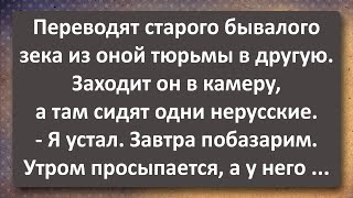 Бывалый Зек и Двое Нерусских в Хате! Сборник Самых Свежих Анекдотов!