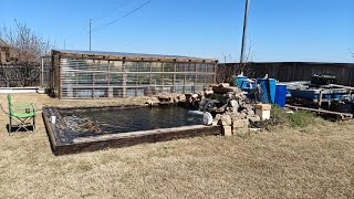 Daily Walkthrough/Maintenance For My Koi Pond and Greenhouse