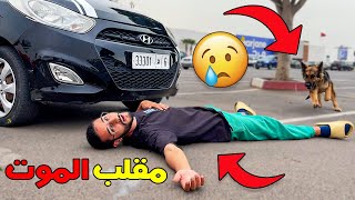 مقلب الموت في كلبتي!!🐕 ضرباتني سيارة 🚘شاهد ردة فعلها😥😥