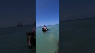 Positive Vibes Jamaica (Horse ride thru water)