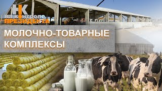 Молочно-товарные комплексы | Содержание коров | Белорусская молочка. На контроле Президента