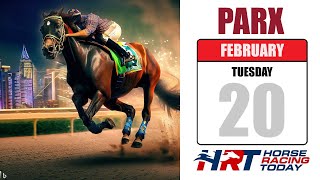 PARX Racing Picks Live Stream – February 20, 2024 – Horse Racing Today