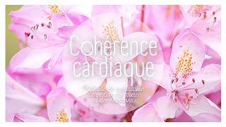 5 MINUTES DE COHERENCE CARDIAQUE - SEANCE DE RESPIRATION POUR REGULER LE STRESS - FLEURS ROSES