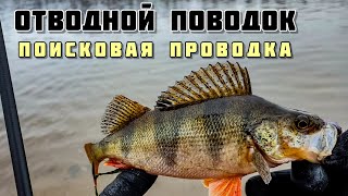 Отводной поводок - поисковая проводка для начинающих, как найти рыбу на водоёме