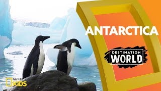 Antarctica | Destination World