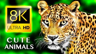 CUTE ANIMALS 8K ULTRA HD