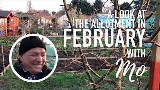 February at the Allotment with Mo