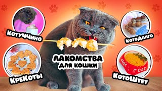 КОТОКАФЕ: ВКУСНЯШКИ для КОШКИ СВОИМИ РУКАМИ | ГОТОВИМ ЛАКОМСТВА для БАТТЕРС