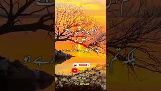 Tum es dunia mein rehty nahi balky yaha sy guzr rehy ho | urdu quotes | golden quotes