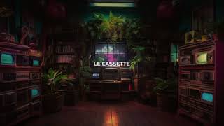 Le Cassette - I Should Have Loved You Better