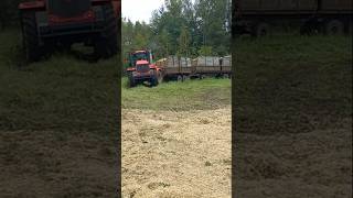 Кировец К 739Ст.#agro #farming #сельскоехозяйство#кировец.