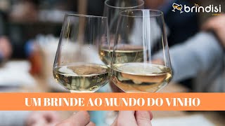 Brindisi Vinhos - O vinho é uma ópera!