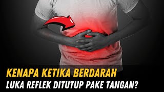 KENAPA REFLEK UNTUK NUTUPIN DARAH PAKAI TANGAN KETIKA KITA LUKA?