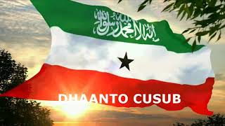 Dhaanto Cusub | Somaliland | Abdinasir Dheere | Dhaanto 2021 #Dhaanto