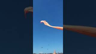 Kite Flying China Funny Moment 😂😂😂😂😂😂