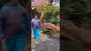 puting beliung di wilayah dago resort ciburial cimenyan #sega23 #putingbeliung #shortvideoviral