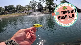 Back To The Pond (RLDL Topwater Bash 3.0)