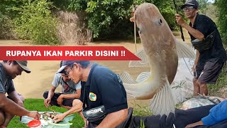 MANCING LANSUNG MASAK DI HUTAN, NEMU SPOT TEMPATNYA PARKIR IKAN !!!