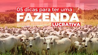 5 dicas para ter uma fazenda lucrativa