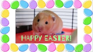 Happy Easter Everyone! :D