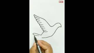 Bird Drawing