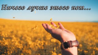 Николай Джинчарадзе — Ничего лучше этого нет...