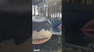 Shark @dinoparquelourinha9481 , #shark #dinopark #lourinha