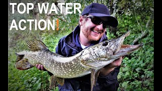 Top water pike and lure rescue