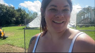 Broody hens are bullies | homestead vlog