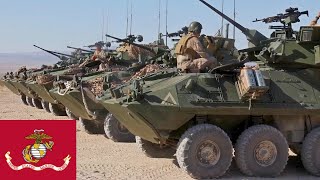 USMC. Powerful LAV-25 amphibious armored vehicles during combat exercises.