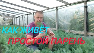 Зелень в самой дешёвой теплице.💲💲💲 Видео для постоянных зрителей