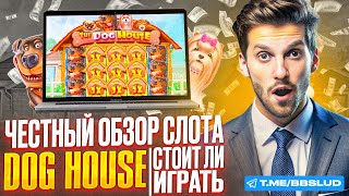 ОБЗОР СЛОТА DOG HOUSE ДЛЯ КАЗИНО ВОЛНА | CASINO VOLNA ИГРАТЬ БЕСПЛАТНО | БОНУСЫ КАЗИНО ВОЛНА