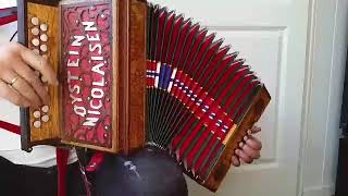 Diatonic accordion: Øystein Nicolaisen