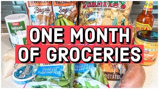 ONE MONTH GROCERY HAULS | Feeding a Family of 3 on a Budget