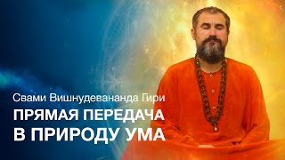 Прямая передача в Природу Ума. Из сатсанга Шри Гуру Свами Вишнудевананда Гири